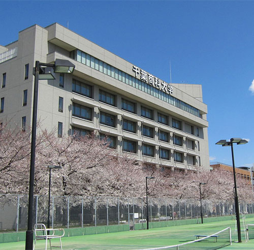 千叶大学