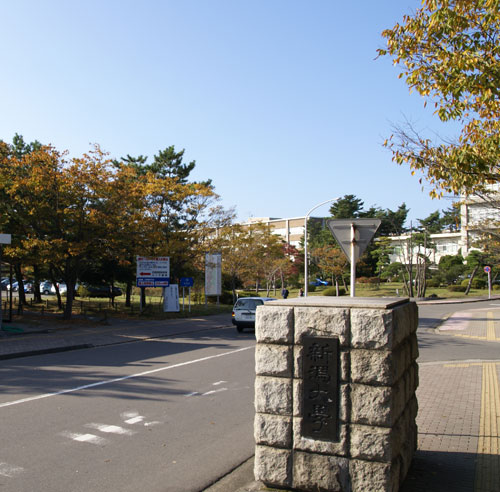 新泻大学