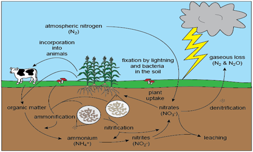 日本研究生阶段的生物资源科学专业都有什么课程？