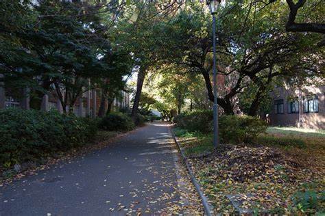 一桥大学研究生申请流程