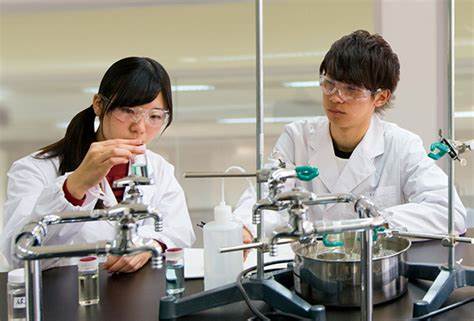 东京大学专业.jpg