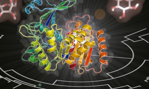 东京大学生物化学专业课程预习