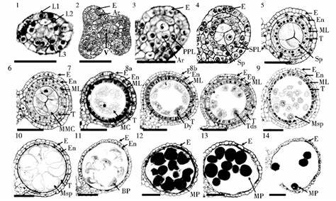 东京大学细胞生物学专业课程预习