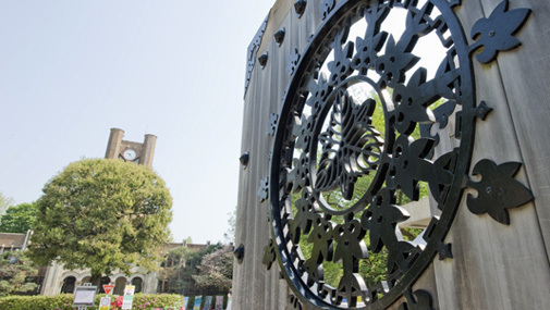 东京大学录取率与募集详情