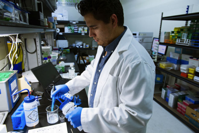 日本研究生前沿生物科学课程解析