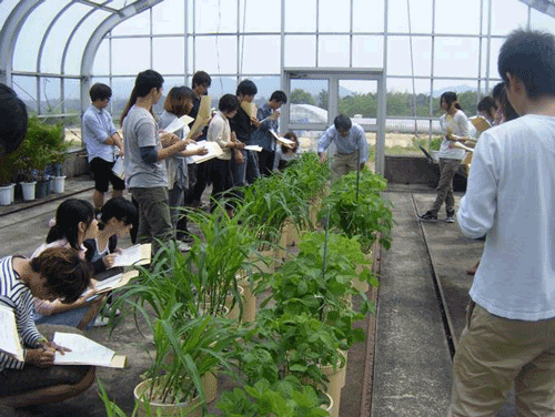 日本应用生物学专业研究生阶段有什么课程？
