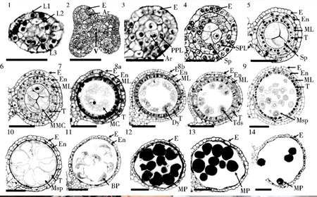 日本细胞生物学专业研究生课程怎么样？
