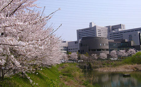 大阪府立大学入学.jpg