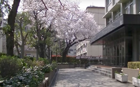 日本高中.jpg