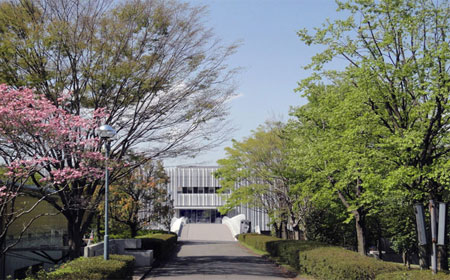 早稻田大学.jpg
