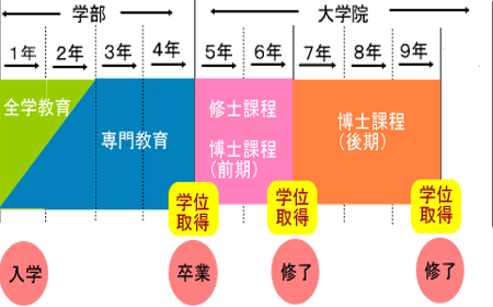 东北大学数学.png