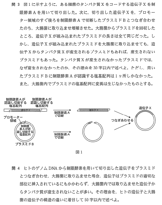 生物2.png