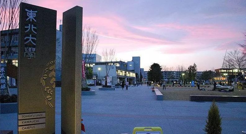东北大学人文社会学科主要学些什么？