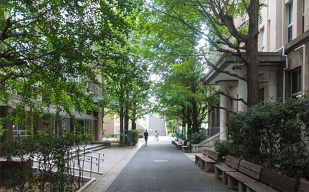 日本早稻田大学学费详情