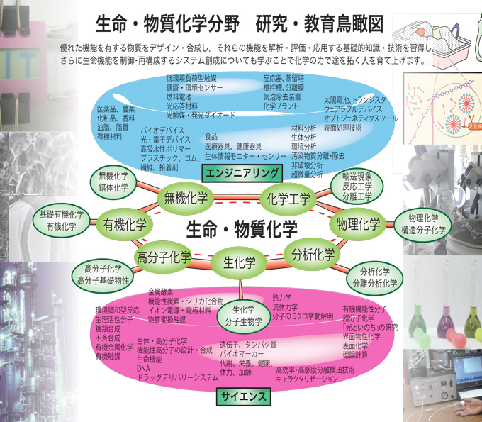 生命、应用化学专业.png