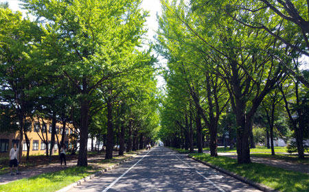 北海道大学本科申请全部流程