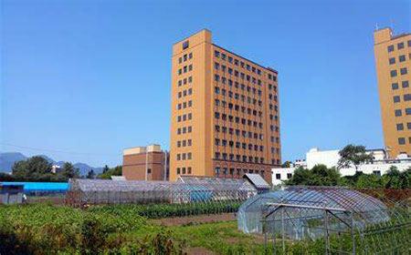 北海道大学本科法律专业有什么课程？