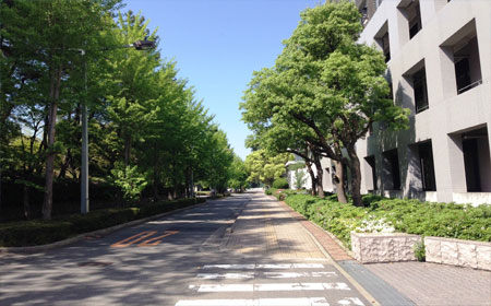 大阪大学录取分数是多少？