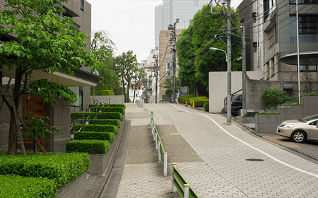 京都大学SGU项目.jpg