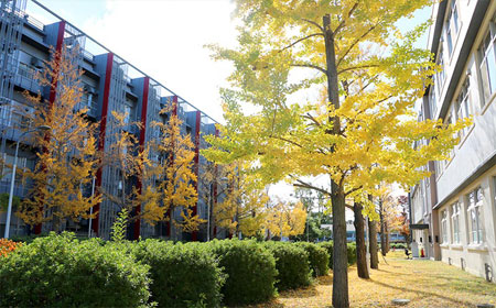大阪府立大学好考吗？