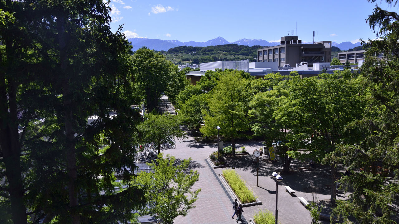 信州大学申请.jpg