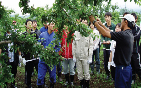 北海道大学农业研究生都学些什么课程？
