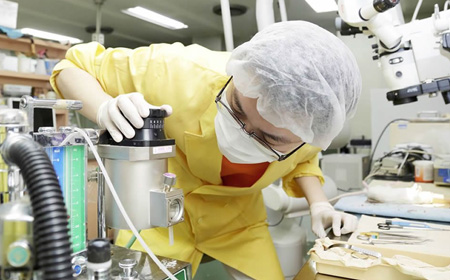 北海道大学生物医学科学与工程专业都有什么课程？