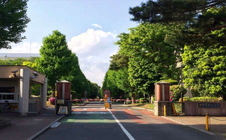 东京农工大学申请.jpg