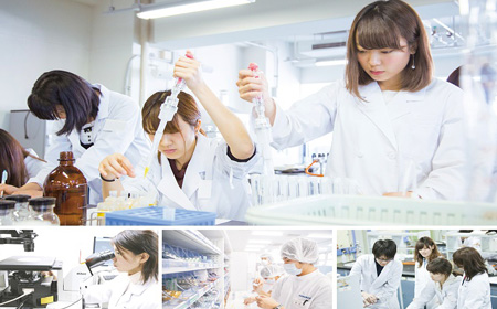 北海道大学药学专业课程可以辅导吗？