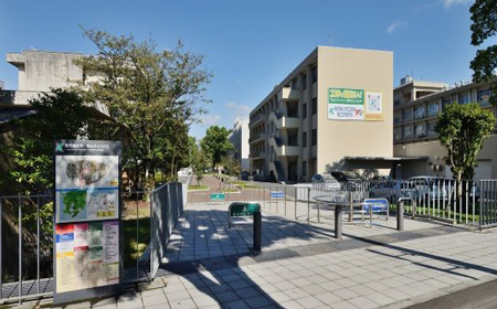 鹿儿岛大学法文学部专业课程设置