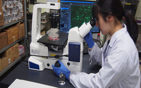 北海道大学生命科学研究生课程设置