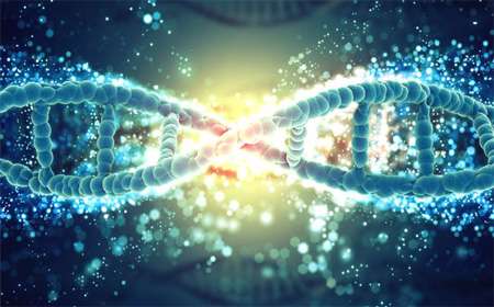 2021年东京大学生物和生物化学U.S.News世界排名
