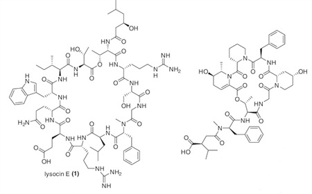京都大学生物专业软科世界排名.jpg