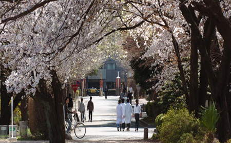 东京农工大学QS世界排名.jpg