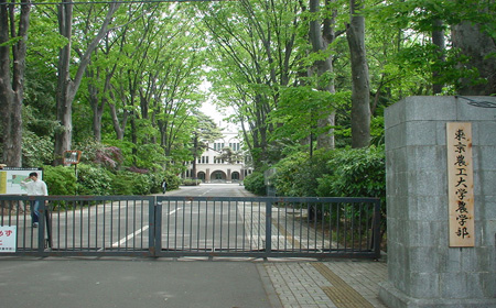 东京农工大学修士申请.jpg