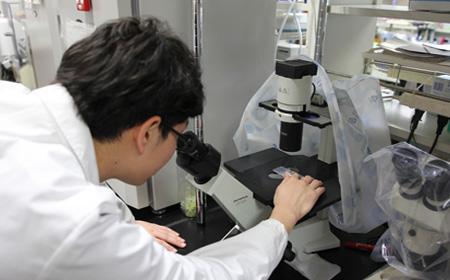 鹿儿岛大学化学工程课程设置详情