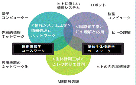 鹿儿岛大学信息和生物工程系课程详情