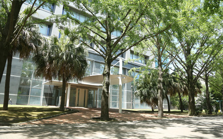 鹿儿岛大学本科申请要求与录取分数线