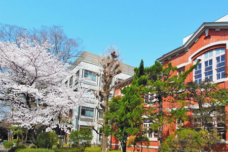 如何申请日本大学？