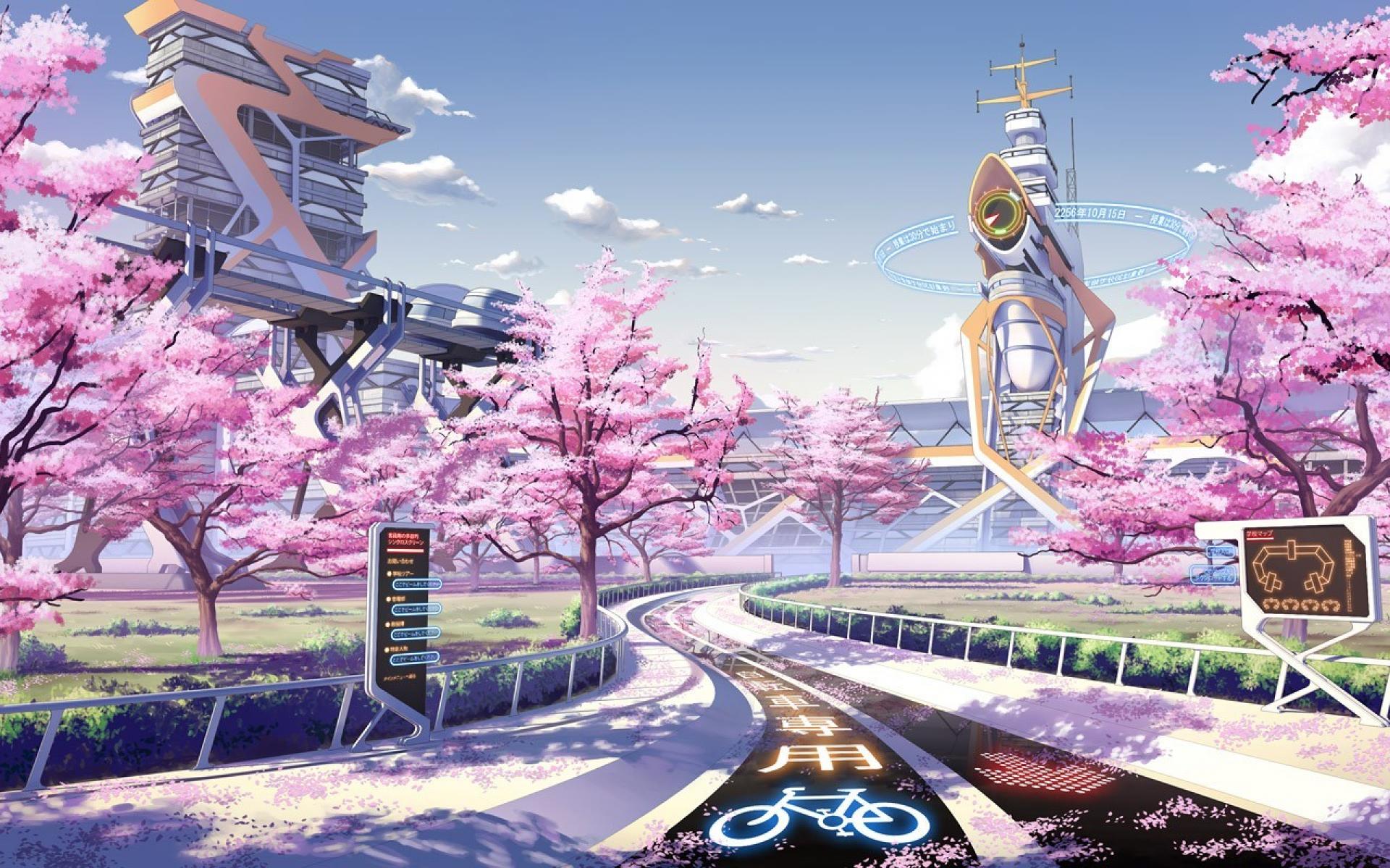 日本动画专业有老师了解吗？