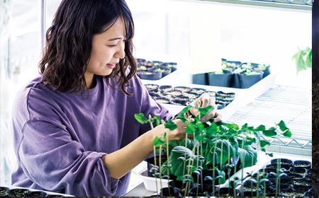 东京农工大学应用生物科学系大三课程可以辅导吗？