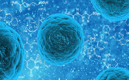 京都大学生物专业2021年世界排名详情